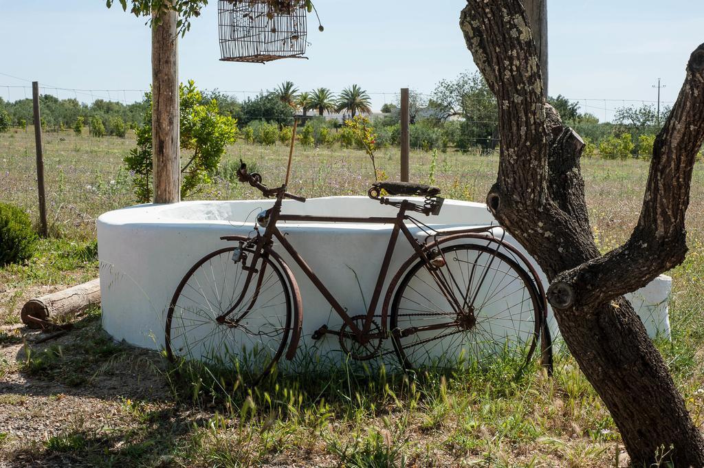 Гостевой дом Pensao Agricola Кабанаш-де-Тавира Экстерьер фото