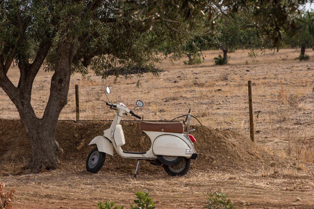 Гостевой дом Pensao Agricola Кабанаш-де-Тавира Экстерьер фото